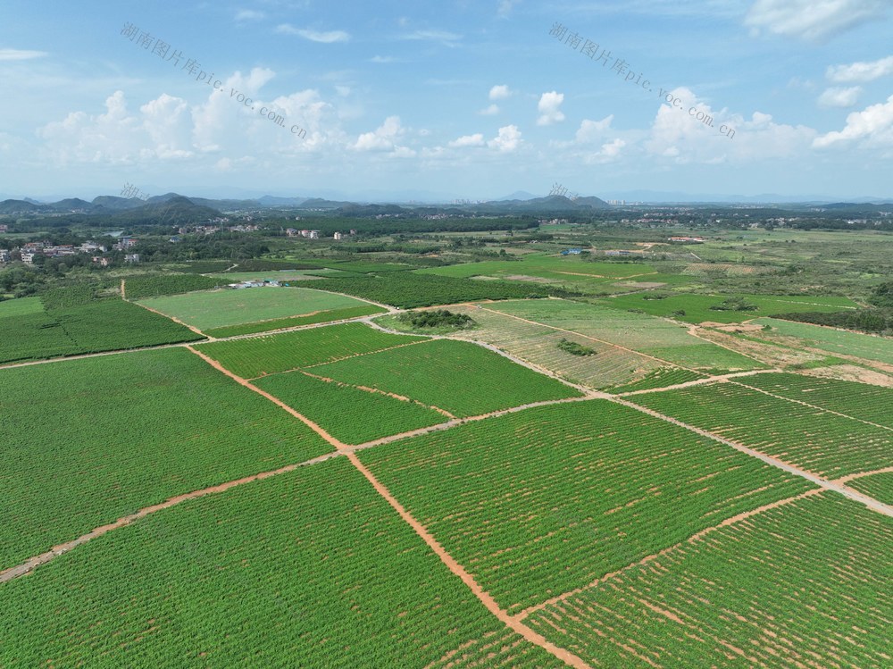 产业
特色
道县