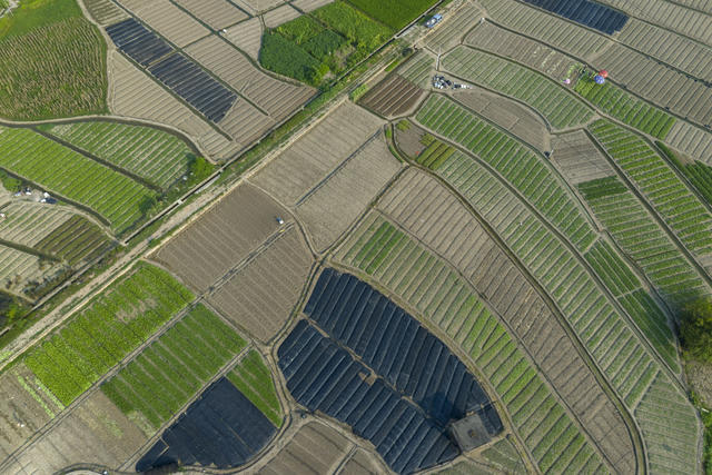 湖南娄底 田园 初秋 