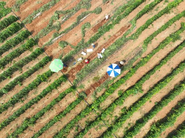 产业
特色
道县