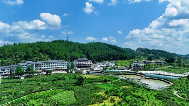 航拍 相处振兴 美丽乡村