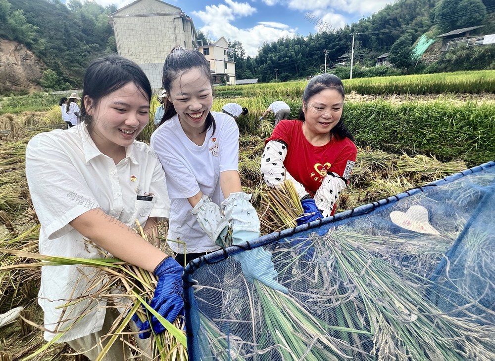 “三下乡”劳动体验农事

