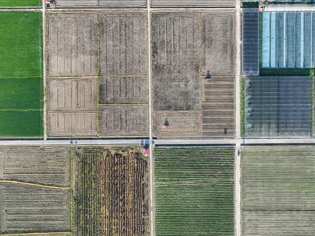 道县
稻蔬轮作