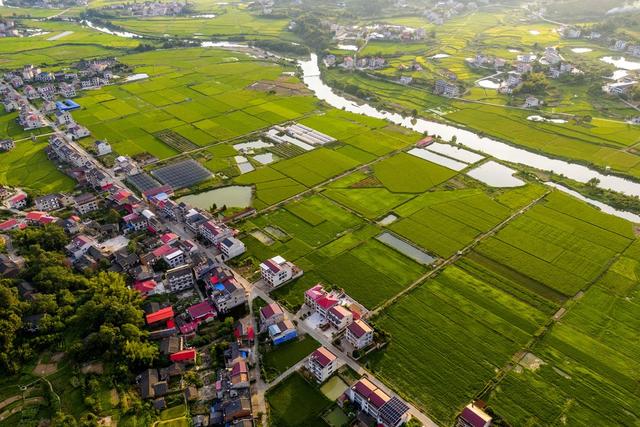 和美乡村  环境整治  家园  农田  秋天