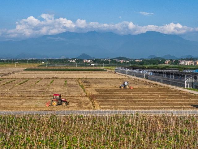 道县
稻蔬轮作