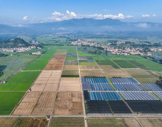 道县
稻蔬轮作