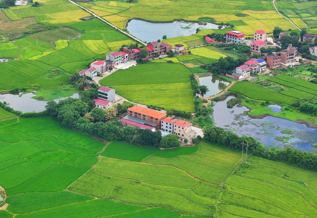 田园 美景