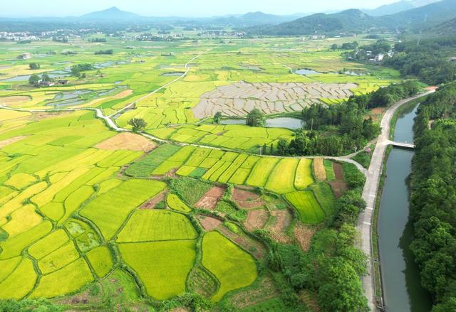 立足防汛抗旱 保障农田用水