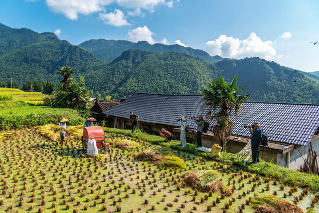 农旅融合  塘家梯田 