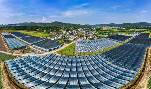 湖南 郴州 坳上 粤港澳大湾区 
 菜篮子 航拍  湖南  郴州 
 苏仙区  坳上镇  坳上古村  郴州市欣兴源  农民  李利华  蔬菜 高科技  种植   广东菜心 芹菜    绿叶青菜    辣椒  基地  绿色生态  蔬菜种植  大湾区 