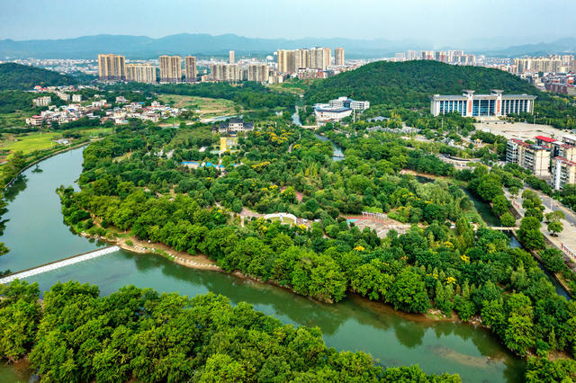 河长制  岸线治理  生态修复  紫水河