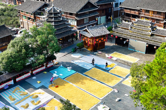 侗族 村民  秋  鼓楼 丰收 晒秋 侗寨