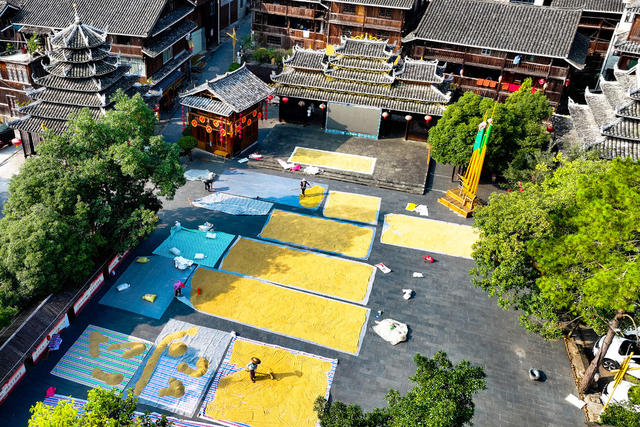 侗族 村民  秋  鼓楼 丰收 晒秋 侗寨