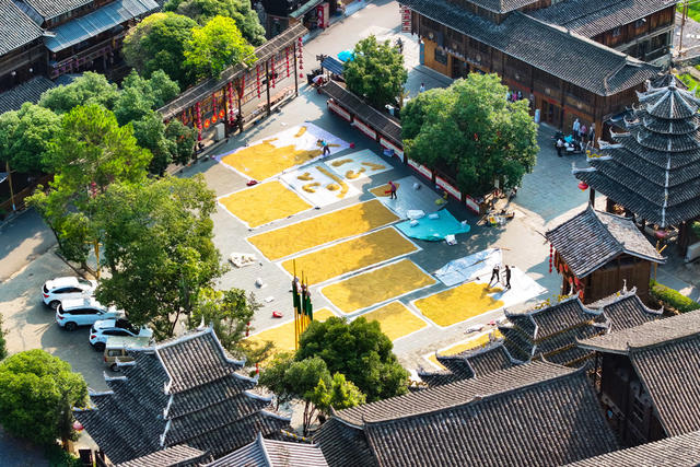 侗族 村民  秋  鼓楼 丰收 晒秋 侗寨