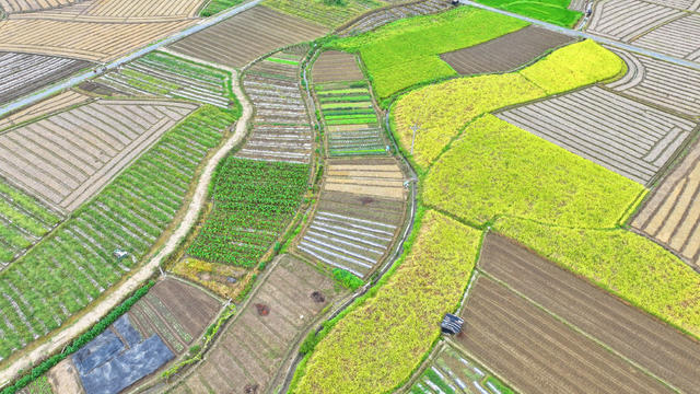 多彩 田园 乡村