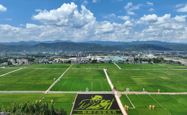 洪江市安江农校高标准农田