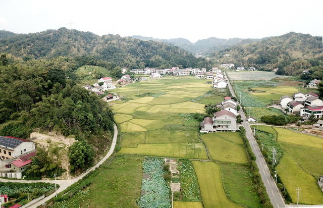 美丽囗乡村