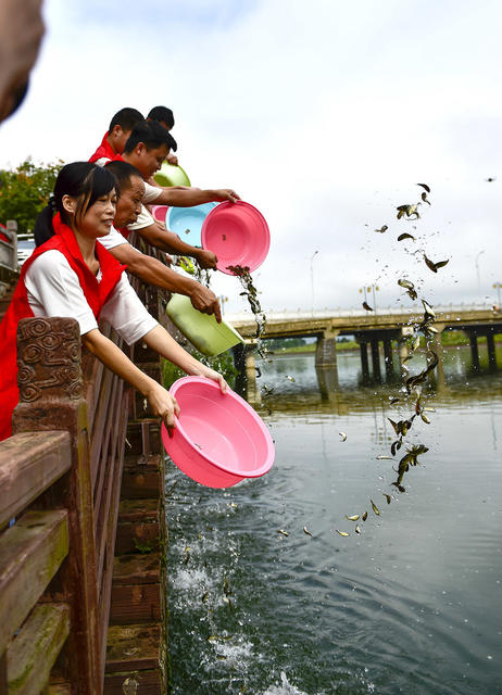 农业  投放鱼苗 保护生态