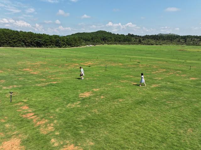 秋日旅游  乡村旅游 生态旅游 草原景色