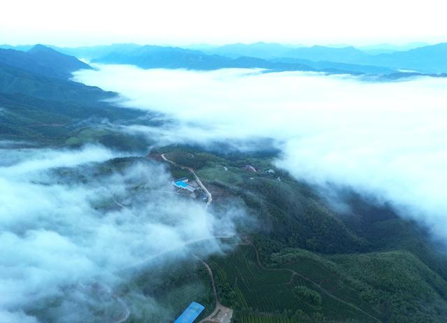 云海奇观 醉美游人
