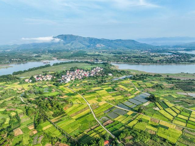 田园
道县
晚稻
