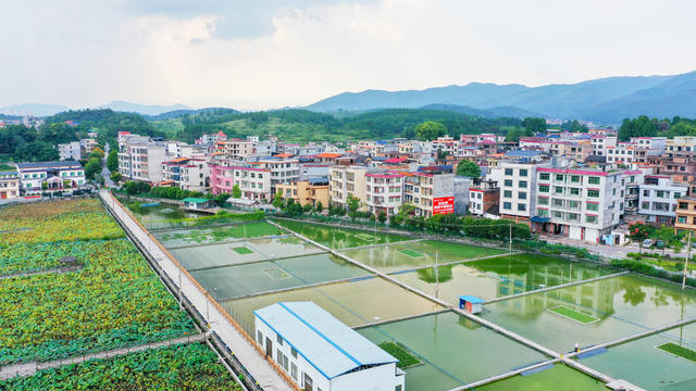 田园  乡村  产业  和美