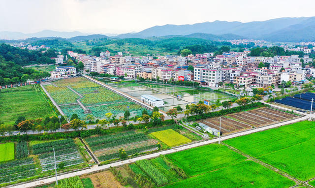 田园  乡村  产业  和美