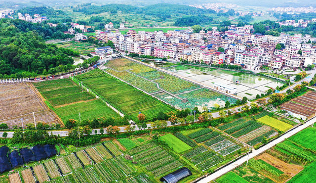 田园  乡村  产业  和美