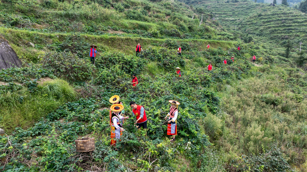 山银花 农民工培训
