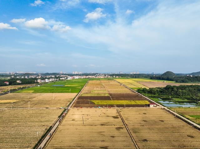 蔬菜基地
道县