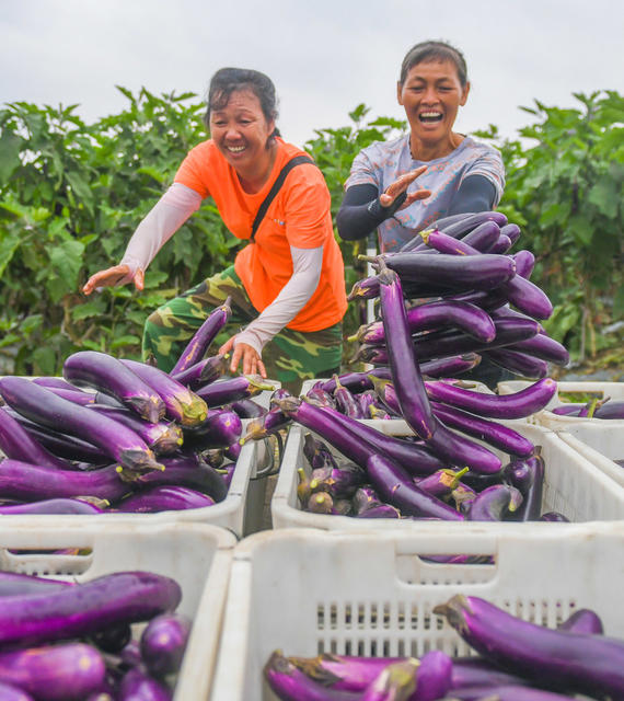 蔬菜
道县
中秋
