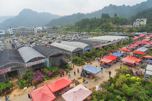 湘西迎来中秋和州庆两大喜庆节日  节庆期间湘西农贸大市场格外兴旺  数千群众在集市交易 