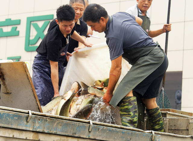 传统节日  中秋  蔬菜市场  市民需求  鲜鱼  甘蓝  黄白菜