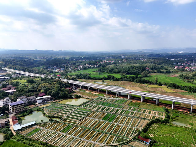 高速  公路  交通  生态  田园  和美   乡村  自然  
风景  旅游