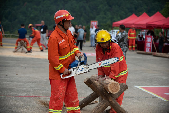 森林消防  应急能力提升  农业农村  林业工作  技能比赛