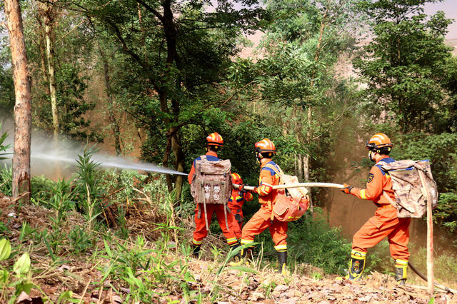 消防 灭火 森林 火灾 演练