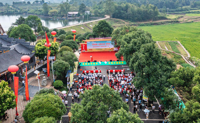 农民丰收节  庆祝活动