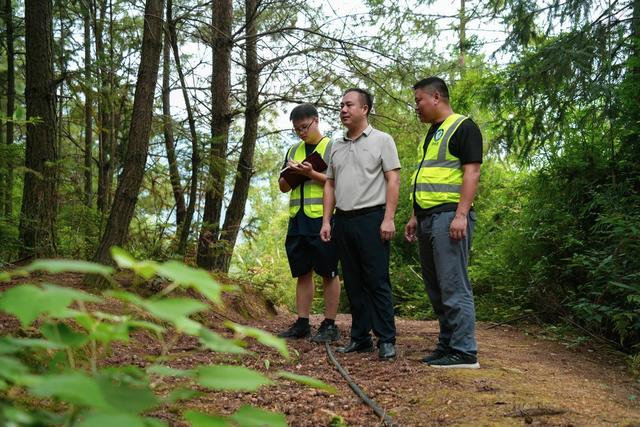 林长制 绿山青山 巡山护林 森林防火