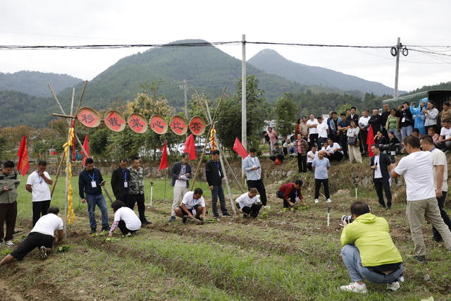 新田 多彩活动庆丰收
