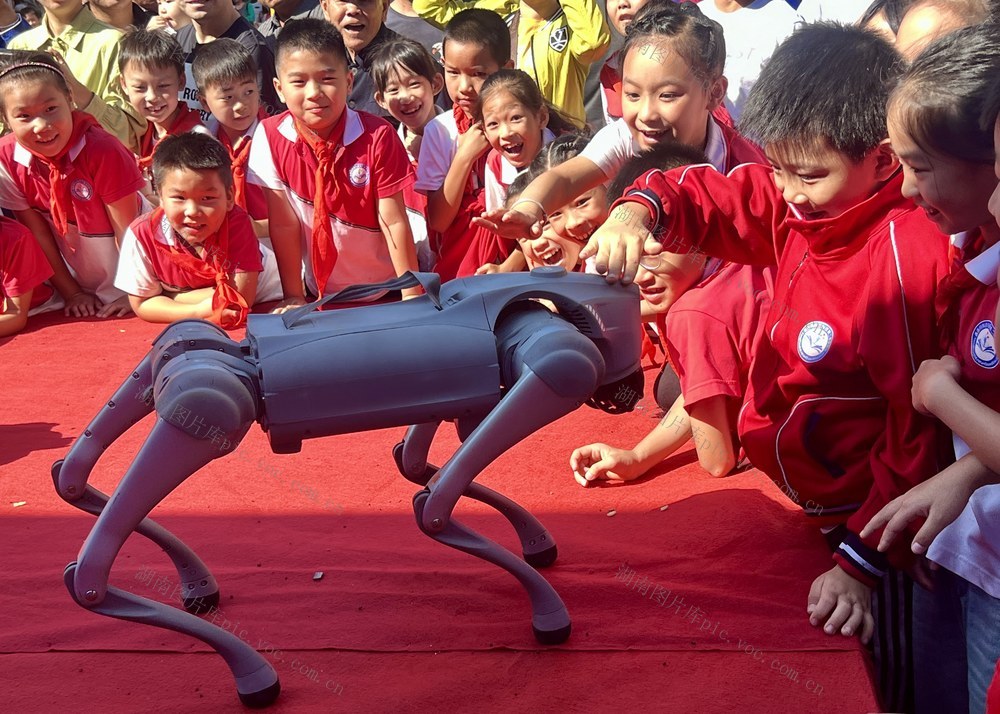 “点燃”孩子科技梦
