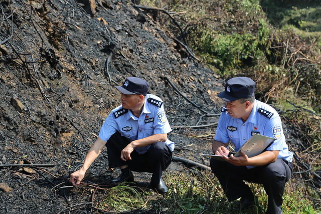 夏季行动 森林防火 无人机