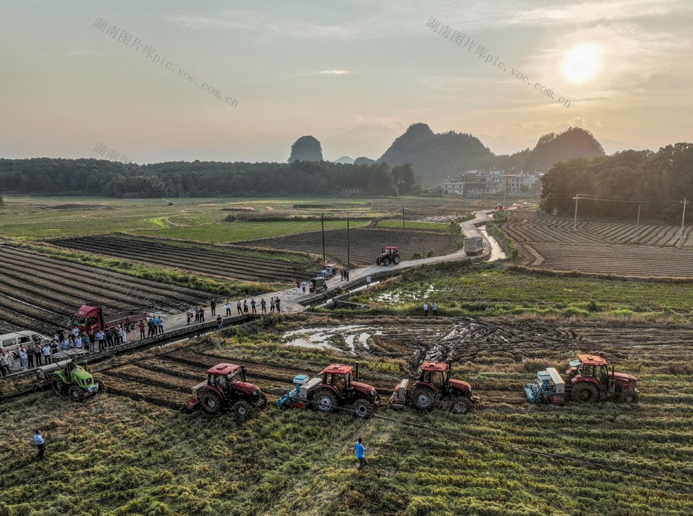 农业
油菜直播机
道县
油菜生产
