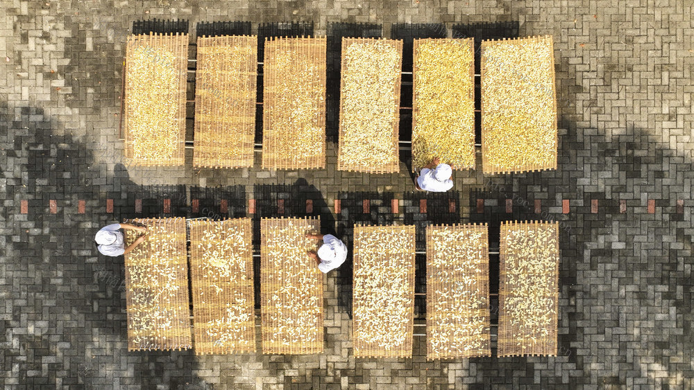 特色产业  无渣生姜  就业 农产品加工 党支部 共产党员
村民增收  传统技艺