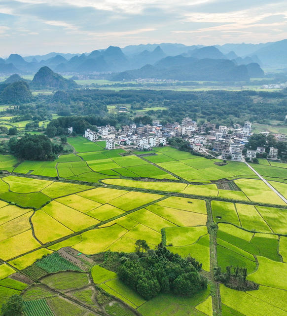 宁远
稻田
旅游
