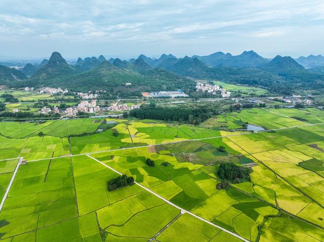宁远
稻田
旅游
