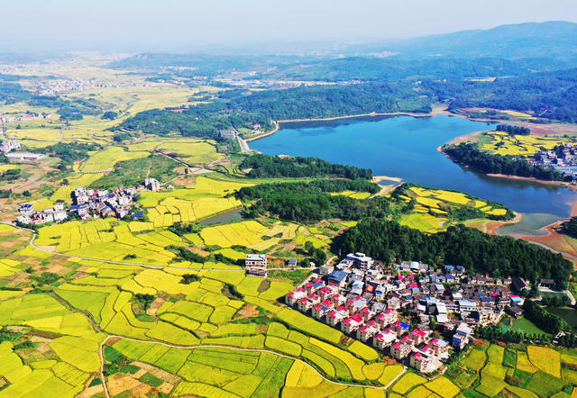 嘉禾：秋染大地乡村美