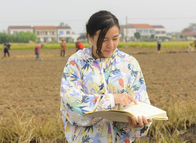 农业  油菜种植  品比试验  新品种筛选  标准化试验