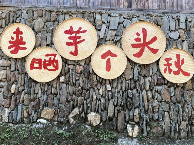 侗寨 晒秋 五谷丰登 民俗 国庆