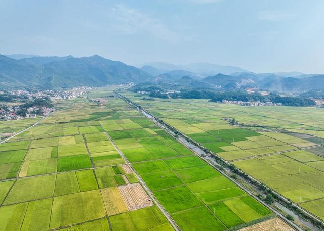 金秋
画卷
稻田
道县
晚稻