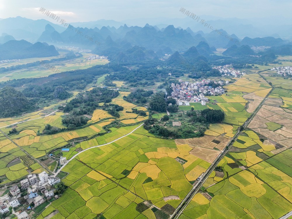 金秋
宁远
晚稻