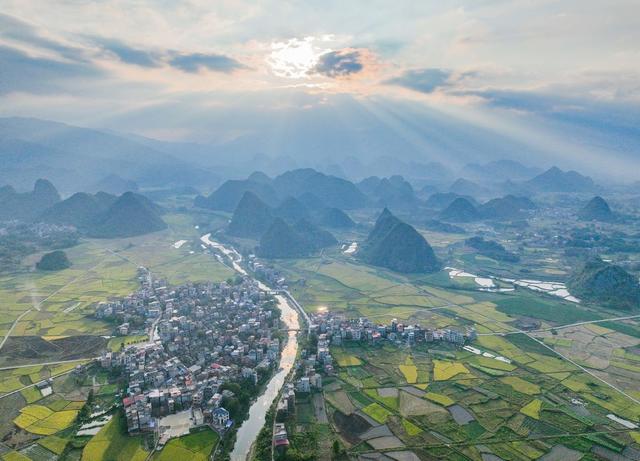 风景
晚稻
金色
秋色
道县